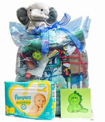 Baby Care Bag & Car Seat